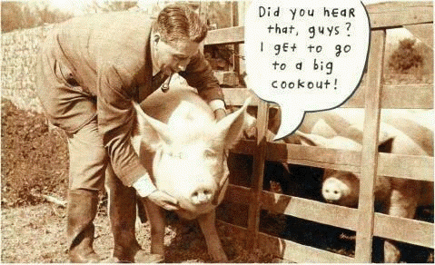 Before and after pictures