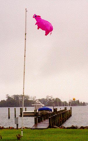 A Beacon To Mariners