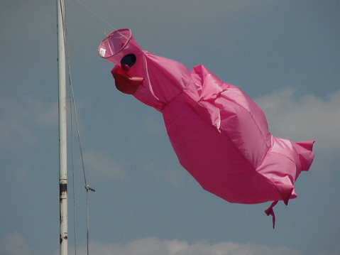The Pig Flag